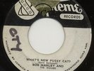BOB MARLEY & WAILER 