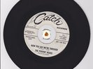 Garage 45 PUDDIN' HEADS Now You Say...PROMO BFTG HEAR