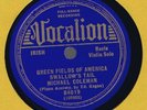 Vo84019 Michael Coleman GREEN FIELDS OF AMERICA Irish