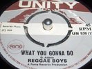 ?  Reggae Boys - What You Gonna Do / Unity  ?