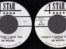 THE WILLOWS Now That I Have You 45 4 Star Promo Doo Wop