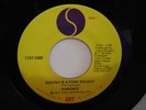 RAMONES (ROCK) 45RPM SHEENA IS A PUNK ROCKER