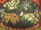 COUNTRY JOE & THE FISH Electirc Music lp MoNo PSyCH