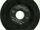 LIMEY & THE YANKS Guaranteed Love orig 1965 garage punk