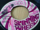 TOMMY MCCOOK SIDEWALK STUPID DOCTOR SPINNING WHEEL ?