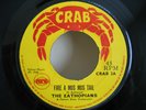 Eathopians Fire A Mus Mus Tail Blacker Black Crab Pama