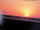 ZOOT SIMS BUDDY RICH EASTERN FLIGHT 1980 RARE NM