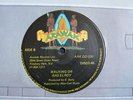 12 Arawak Elroy Bailey-Walking On/Steppin/Roots/Listen