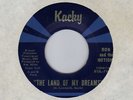 Teen garage RON & MOTIONS Land Of My Dreams KACKY  HEAR