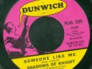 Shadows of Knight 