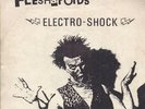 Fleshapoids “Nuke the Whales” 7” 1979 SF Punk KBD Rare