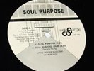 Soul Purpose 12