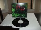Lilys 'in the presence of nothing' mint condition vinyl