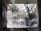 LP SPONTANEOUS COMPOSITION private jazz fusion SEALED