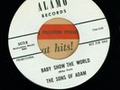 SONS OF ADAM--Feathered Fish. '66 garage psych 45. DJ