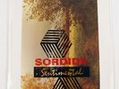 DURUTTI COLUMN Sordide Sentimental 7