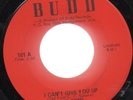 Ted Ford I Can't Give You Up Real Soul Funk 45 Budd MP3