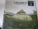 LIGABUE-Arrivederci Mostro-LP '10 Vinile Blu N°261 SIG