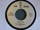 TEFTELLER NORTHERN Performers Mini Skirt Rare One HEAR