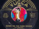BILL CHAPPELL Down On The Farm Boogie ROCKABILLY BOPPER