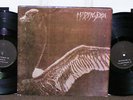 My Dying Bride 