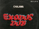 KILLER DUB LP