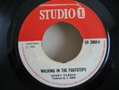 Dobby Dobson Walking In The Footsteps Vendor Studio-One