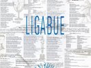LIGABUE 