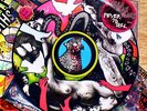 Yeah Yeah Yeahs Fever To Tell Picture Disc promo set