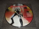 IRON MAIDEN 