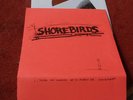Shorebirds 7