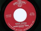 KRISS KROSS & OTHER ANGLES - KILLER CA GARAGE/PUNK 45