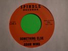 ADAM WIND  Take Some Time Heavy NW Funk Psych 45 LISTEN