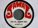 TEFTELLER NORTHERN Waymond Hall What Will Tomorrow HEAR