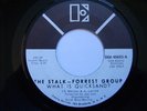 STALK FORREST GROUP WHAT IS QUICKSAND EKM-45693 DEMO 7