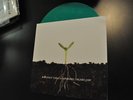 Balance and Composure/Tigers Jaw split 12