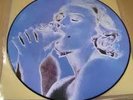 Madonna  Erotica  Picture  Disc  Vinyl