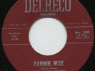 Rare R&B 45- The Del-Rays - Fannie Mae- Delreco 500- M-