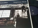 YUME BITSU   AUSPICIOUS WINDS LP (mogwai, microphones)