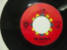 BRIAN WILSON - THE CASTELLS - I DO
