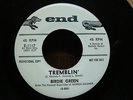 SOUL 45 BIRDIE GREEN  Tremblin'  CLICK TO HEAR