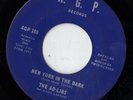 A.G.P. soul 45  THE AD-LIBS - New York In The Dark NICE