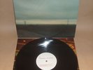 PURESSENCE Only Forever Alternative Indie MINT RARE LP