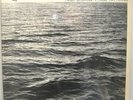 STEVE REICH SHANDAR LP TERRY RILEY-LA MONTE YOUNG-NWW