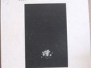 THE GREATEST ILLUSION, JOANNA CAZDEN - SISTER SUN LP