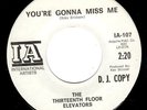 13th FLOOR ELEVATORS psych garage promo 45 “Gonna Miss”