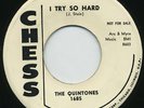 HEAR- Rare Doo Wop 45- The Quintones- I Try So Hard- M-