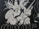 COYOTE - CAST OFF YOUR. PRIVATE PSYCH SOUTHERN ROCK LP