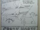 Neil Young Reprise LP Zuma