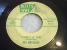 GR8 NORTHERN SOUL HIPSHAKER 45 ;THE NATURALS ON WATTS